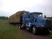 Dale B. Daniels Trucking Dale B. Daniels Trucking